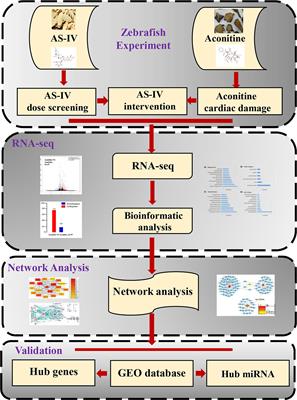 Identification of Hub Genes in Protective Effect of Astragaloside IV on Aconitine-Induced Cardiac Damage in Zebrafish Based on Bioinformatics Analysis